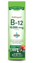 Nature 's Truth Sublingual Vitamin B-12 10,000 Mcg, Fast Acting Liquid, Natural Berry Flavor, 2 Fluid Ounce (Paket 1)