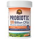 Vitalitown Progories 120 Miliar CFUs, 36 Strain, Prestium, Enzimes Digetical untuk Pria, Pelepasan Tertunda, Shelf Stable, Pada Dukungan Digetives Go, 30 Veg Caps