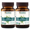 Hilaya Organic Gymnema Sylvestre - Herbal Glub Metabolism Dukungan - USDA Organik, Non-GMO, Vegan, Gluten Free, Addititive Free, 700 mg, 30 Caplets (Paket 2)