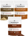 Jamur Real Peak Performance Bundle - Singa Mane + Reishi + Cordyceps-M Bersertifikat bubuk Jamur Organik untuk Vitalitas, Kekebasan & Umur