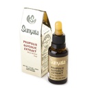 Brazil Brazillian Green Bee Propolis Extract Sunyata No Alkohol 30ML (1 Pack)