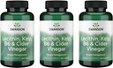 Swanson Lecithin Kelp B-6 & Cider Vinegar 240 Tab (3 Pack)