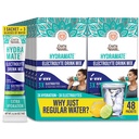 GuruNanda Hydramate Hydration Dukungan Minum Mix - Electrolite Powder untuk Dehydration, Exercise & Energy - No Added Sweeteners, Non- GMO, Natural Lemon Lime Flavor - 48 Count (0.56 oz Masing-masing)
