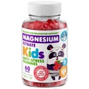 DR. MORITZ Sugar- Free Calm Magnesium Gummies for Kids and Adults - None-GMO Kids Magnesium Gummies - Raspberry Flavor - 1-Pack (60 Count)