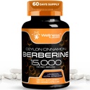 WELLNESS LABSRX Berberine Tambahan 15.000mg - Berin dengan Cinnamon Ceylon, Overall Wellness Dukungan Capsules - 120 Capsules (Paket 1)
