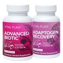Rencana Vital Immune Supplemen oleh Dr. Bill Rawls - Ammune Boost Bundle w / Japanese Knotweed, Cakar Kucing, Tengkorak Cina & Reishi Mushroom