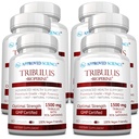 Tribulus Terrestris Ilmiah - 360 Capsules - Boosts Testosterosteron, Enhances Atletic Performance, Supports Muscle Growth and Repair - 95% Furostanol Saponins - Bioperin