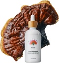 Rainbo - Reishi Mushroom Tsuture - Dual Extract Mushroom Suplement - Imune Dukungan, Mood, Sleep, Liquid Reishi Suplemen, Vegan, Non GMO, 3.4 flflo oz