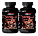 Pil untuk pria seks panjang dan kuat - TRIBULUS TERRESTRIS EXTRACT 10000MG - OSCLE STRENGTH, penyusutan kesuburan laki-laki, pil libido laki-laki, pil seks laki-laki, peningkatan laki-laki, penguat stamina, 2B 120 tablet