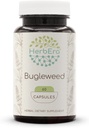 HerbEra Bugleweed 60 Capsules, 400 mg, Made with Bugleweed (Lycopus Virginicus) Dry Herb (60 Capsules)