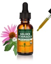 Herb Pharm Certified Organic Golden Echinacea Exquid for Immune System Support - 1 Ounce (DGOLDEN01)