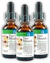 Morter Trace Minements in Colloidal Suspension (3 Pack) Morter HealthSystem Best Progress Alkali - Nutrient Dese Trace Elements, Fulvic Mineces & Acids