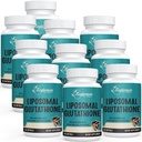 2400 MG Lipomal Glutathione Softgeels, Max Absorpsi, Aktif Formulir L- Glutathione Reduced (GSH), dengan Hyaluronic Acid, Resveratrol, Master Antioksidants for Detox, Brain, Immune System, 600 Softgeels