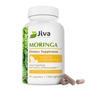 Jiva Botanicals Moringa Leaves Extract Capsules - terbuat dari Moringa Leaf Powder dan Oleifera Suplemen bagi Imune dan Dukungan Bersama Normal - 90 Kapsul (Paket 1)