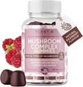 Mushroom Premium Suplemen [10 Mushroom Complex Ekstrak] Delization & Fast Acting Lion Mane, Reishi, Shiitake Nootropic Brain Support, Immune Dupport, Mood & Relaxation, 60 Chews