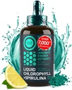 Clorophyll Clorofil Drops with Spirulina for Water - Full Energy, Wellness, Ammune Support Suplemen - 50mg Chlorofil Liquid, 12.5mg Spirulina - Lemon Flavor Detox Minum - 2oz, 118 Servings