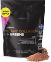 Livingood Daily Plant Collagen + Greens Powder, Chocolate, 5-in- 1 Collagen Dukungan dengan Pea Protein, Amino Acids, Spirulina, Chlorella & Vitamin C, Hair Skin Nails Dukungan, Vegan, 30 Servis