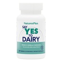 Natuture Plus Say Yes to Daired - 50 Chewable Tablet - Natural Lactase Enzyme Suplement, Maximum Digetical Aid, Laktosa Intoleransi Relief - Gluten- Free - 50