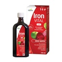 Hübner Iron Vital Liquid Iron Suply Plus Vitamin C, Dietary Suplemen untuk Orang Dewasa dan Anak, Vegan dan Gluten- Bebas, Fruit Flavor, 250 ml Botol, 25 Hamba