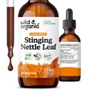 Wild & Organic Stanging Nettle Leaf Extract Drops - Urinary Tract Support - Liquid Stinging Nettle Suplement - Urtica Dioica Tincture - 2 Bulan Supply - Vegan, Sugar & Alcohol- Free - 2 fl oz