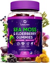 Irish Sea Moss Gummies - Bladdercrack Burdock Root Elderberry Vitamin C & Zinc - 60 Vegan Seamoss Gummy untuk Dewasa Anak-anak Perempuan - Multimineral Elderberry Vitamin