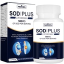 Superoksida Dismutase Suplemen 500mg - SOD Ditambah dengan lipomal glutathione, AKG, Green Tea Extract, L-Arginine, Lysine, Resveratrol dan Vitamin E untuk Dukungan Imune, Antioksidant 60 Capsules