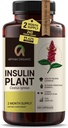 Premium Quality Costus Igneus (Insulin Plant) Capsules - Mudah untuk Swallow 240 Vevgie Capsules (2 Pasokan Bulan) - Dibuat di Amerika Serikat - termasuk Program Dukungan Kesehatan Lengkap