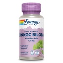 SOLARAY Ginkgo Biloba Extract with Gtu Kola - Ginko Bilbia Kaples for Brain Health Support - Vegan, Lab Verified, 60- Day Garansi - 60 Pelayan, 60 VevCaps (60 VevCaps)