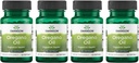 Swanson Oregano Oil 10: 1 Ekstrak - Penambahan Alami Promoting Kesehatan Digetical & Respiratory Dukungan - Mendukung Sistem Gastraintestinal & Uriner Kesehatan - (120 Softgels, 150mg Masing-masing) (4 Pack)