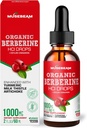 Artichoke susu Turmerik Organik HCI 1000mg Drops - dengan Ceylon Cinnamon Turmeric Milk Thistle Artichoke - Suplemen Bioavability Tinggi - Vegan Sugar Free Gluten Free 2fs. oz (60ml)
