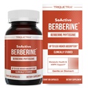 SoActive Berberin 550mg: 9.6X Higher Absorpsi, Clinically Studidies, Optimated Phyptoome 124; Pasport Metabolisme & AMK Activation 124; Non-GMO, Soy- Free 124; Clinically Validated Dose 124; 60 Servings