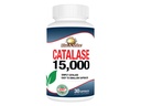 Rise- N- Shine Catalase Supplement 15,000 - Powerful Antioksidant Enzyme for Hair Health Suplemen rambut untuk Pendukung Rambut Kuat - 30 Kapsul