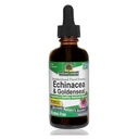 Jawaban Alam Enchinacea & Goldseal 124; Mendukung sistem kekebalan tubuh sehat 124; Ekstraksi super murni 124; Alcohol- Bebas, Vegan & Kosher dianggap 2oz
