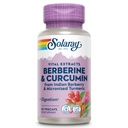 Suplemen Turmeric BerberY & Curcumin - Berberine Turmeric Suplemen dengan 20% Curcumin Mikronized dari Turmeric Root - Herbal Wellness Dukungan - Tidak-GMO, Vegan, Gluten Bebas, Jaminan 60 Hari, 60 Pelayan
