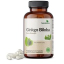 Futuregranity Ginkgo Biloba Ekstra Kekuatan Mendukung Fungsi & Ingatan, 250 Kapsul Vegetarian