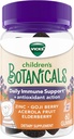 Vicks Children 's Botanicals Daily Ammune Support * + Antioksidant Action, Gummies, Made with Zinc, Goji Berry, Acerola Fruit, and Elderberry, 60 ct