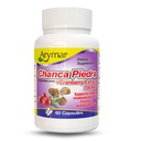 Arymar Chanca Piedra dengan Cranberry - Herbal Support untuk Urinary Wellness & Kidney Fungsi (60 Capsules)