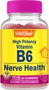 Potency Tinggi Welly Vitamin B6 Gummies - Memproyeksikan Kesehatan Nerve, Fungsi Kognitif, Peraturan Mood, Dukungan Imune, dan Kesehatan Kardiovaskular - Vegan, Non- GMO, Gluten- Free - 60 Count
