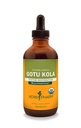 Herb Pharm Sertifikasi Organik Gotu Kola Cair Ekstrak untuk Musculoskeletal Sistem Dukungan - 4 Ounce