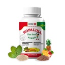 Nopalina Fiber Formula Formula 124; 120 Capsules 12.4; Benih Flax, Psyllium, Oat dan Wheat Bran, Omega 3, 6 & 9 = 124; Gut Kesehatan & Regularitas 124; The Original