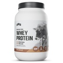 Levels Grass Fed Whey Protein Powder, No Artificials, 24G of Protein, Murni Chocolate, 2LB