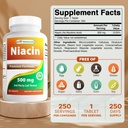 Terbaik Niacin 500mg 250 Tablet dengan Flushing - Juga Disebut Vitamin B3 (250 Cacah (Paket 2))