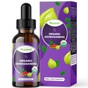 Phytoral Organic Ashwagandha Liquid Drops for Dewasa - Akar Mampu Ashwagandha Ekstrak untuk Energi dan Dukungan Mood - Tincture Vegan Gluten Non-GMO & Alcohol- Free (120 Pelayan)