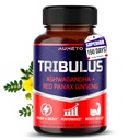 Tribulus Terrestris 98% Saponins - Enhanced 12 in-1 Formula dengan Yohimbine, Red Panax Ginseng, Ashwagandha untuk Boosting Energy, Stamina & Endurance * - Dibuat di Amerika Serikat