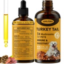 Turkey Tail Mushroom for Dogs - Lebih cepat Absorpsi 2000mg Tail Mushroom Turki untuk Imune & Digetical, Gabungan, Energi, Jamur 5X untuk Turmeric & Probiotic - Vet Formumulasi, 90 ML / 3FL.oz