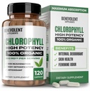 Klorofil Benevolent Capsules 350mg - 100% Natural + Ultra Chlorofil 20x Potency Concentration for Energy Boost, Imune Dukung, Internal Deodoran, Skin Health, Non-GMO, 120 Capsules