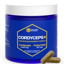 Cordyceps Mushroom Capsules - 10000 mg Cordyceps Extract & 125mg Yerba Mate Extract - 100% Fruiting Body Mushroom Supplemen - Mendukung Performance Otak & Kognitive - 60 Yerba Mate Capsules