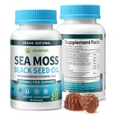 Vegan Ashwagandha Sea Moss Gummies - Minyak Benih Hitam, Vitamin C & D untuk Dukungan Imune, Digetile, Antioksidant 13 dalam 1 Bundle, Laut Moss Chlorophill Advanced Kekuatan Formula 2Pack 120 Gummies
