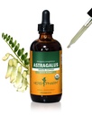 Herb Pharm Certified Organic Astragallus Extract for Imune System Support - 4 Ounce