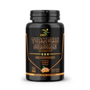 Turmeric Curcumin dengan Black Pepper 1.500mg 124; 90 Vevgie Capsules 124; Dietary Suplement dengan 95% Standardisasi Curcuminoids & Bioperin untuk Potensi & Absorpsi 124; Ness-GMO, Gluten Bebas